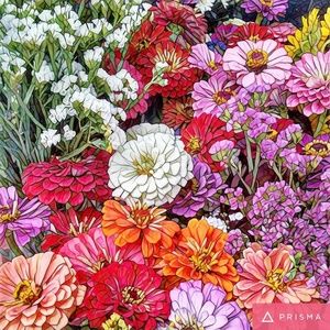 Meet your Posher, Bailey